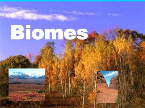 Ppt Biomes Powerpoint Presentation Free Download Id 6257836