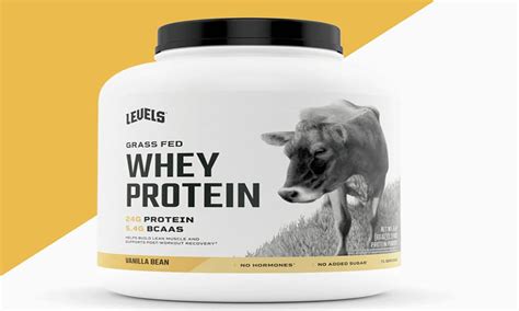 20 Best Vanilla Protein Powders In 2023