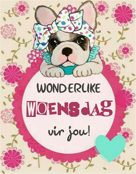 Wonderlike Woensdag Beginner Knitting Patterns Knitting For Beginners