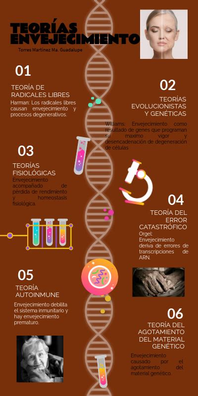 Teorías Envejecimiento