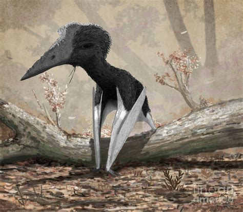 Short Necked Azhdarchid Pterosaur By Mark P Wittonscience Photo Library