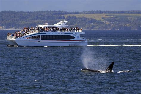 Puget Sound Express Updated June 2025 184 Photos And 81 Reviews 459