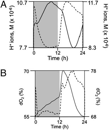 Phase Relationships Change With Zeitgeber Strength A In Lower