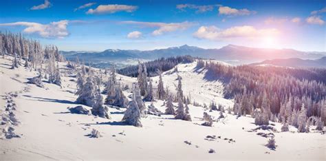 Panorama Colorido Do Inverno Das Montanhas Nevado Imagem De Stock