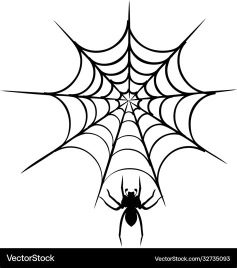 Spider Web Royalty Free Vector Image Vectorstock