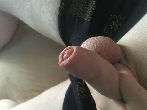 Shaved Dick With Cum Filled Balls Cockhead Foreskin Play 53 Nude Pics XHamster