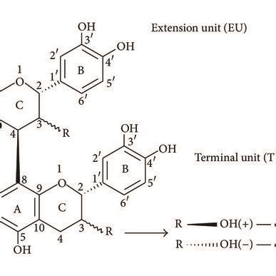 General Structure Of Procyanidin Dimers With Interflavan Bond Types