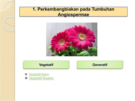 Sistem Reproduksi Tumbuhan Pptx