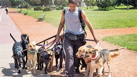 Crean el primer sindicato de paseadores de perros del país Perfil