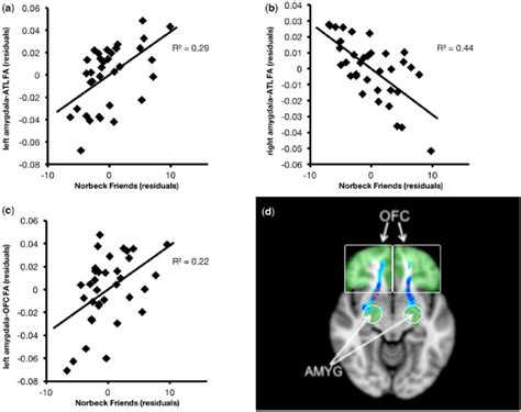 White Matter Microstructure Between The Left Right Amygdala Seed Region