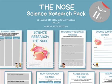 Ks2ks3 ‘the Nose Printabledigital Science Activity Pack Teaching