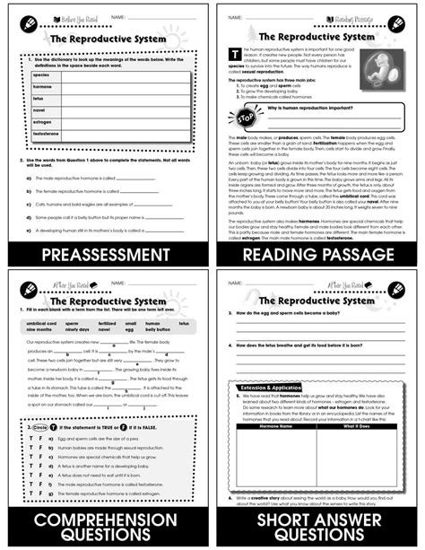 Circulatory Digestive And Reproductive Systems The Reproductive System Gr 5 8 Grades 5 To 8