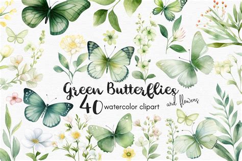 Green Butterflies And Flowers Clipart Graphic By Autumnbreeze