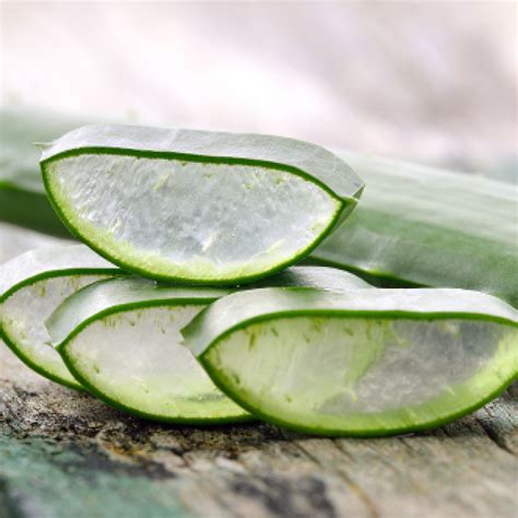 Top 164 Aloe Barbadensis Leaf Juice For Hair Polarrunningexpeditions