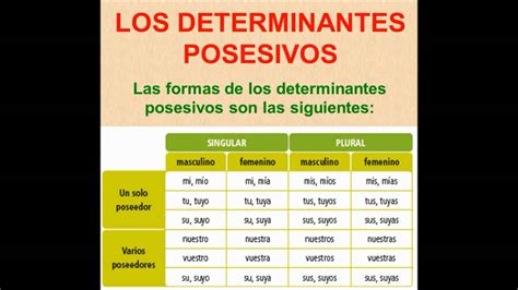 Ejemplos De Determinantes Posesivos