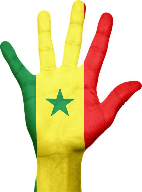 Plus De 10 000 Images De Drapeau Senegal Et De Sénégal Pixabay