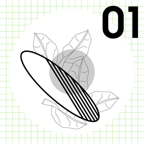 extra extra magazine