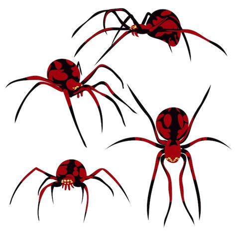 Premium Vector Set Of Spiders In Different Angles Silhouette Of A