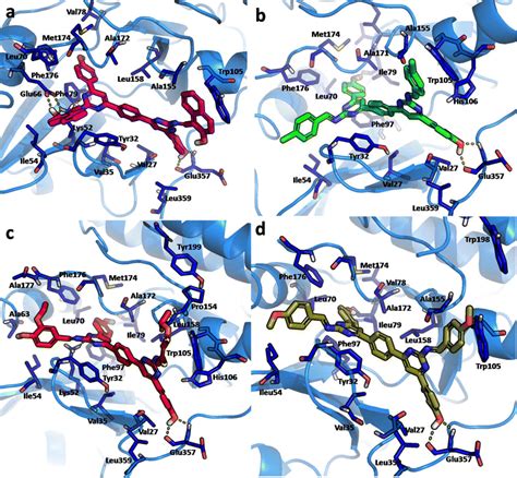 A Graphical Illustration Of Predicted Binding Mode Of Bis Pyrimidines Download Scientific