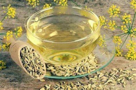 Самые эффективные травы для снижения аппетита, подавляющие чувство ...