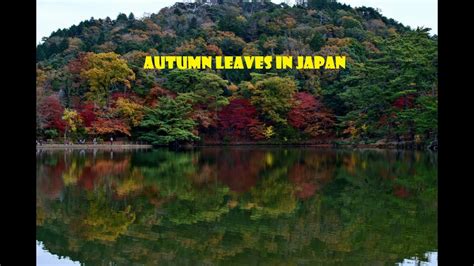 Full Video Autumn Leaves Time Lapse In Japan YouTube