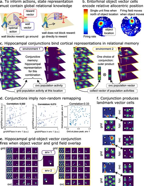 Hippocampal Place Cells As Conjunction Of Cortical Building Blocks A