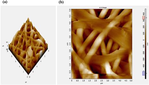 A B Atomic Force Microscopic Afm Image With Surface Topography Of