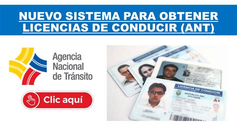 Agencia Nacional De Transito Renovacion De Licencia