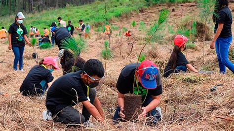 Honduras Conmemora D A Mundial De La Tierra Afectada Por Destrucci N