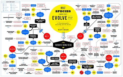 Discover Your Ancestry: What Species Did You Evolve From? [Flowchart] | Bit Rebels