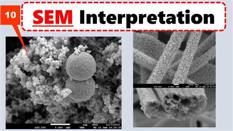 SEM Micrographs Interpretation In Experimental Paper Scanning Electron