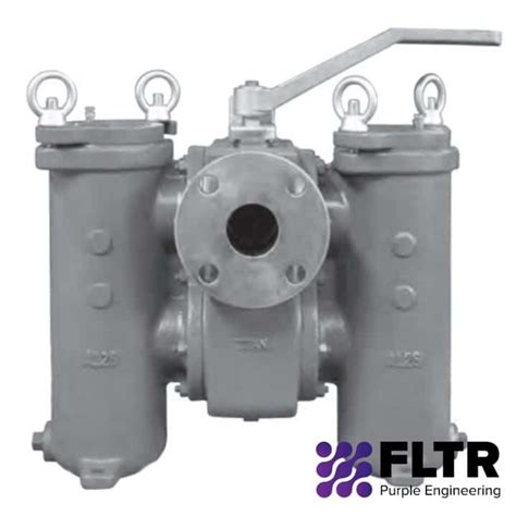 Cast Iron Duplex Strainer Fltr