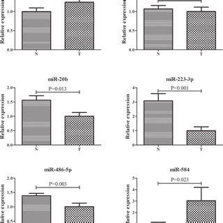 Expression Of The Six Selected MiRNAs In The 12 Pairs Of ESCC And