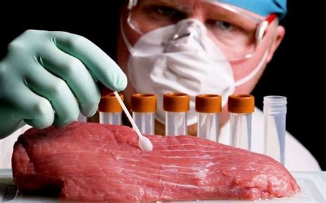 Você comeria carne cultivada em laboratório Sou Agro