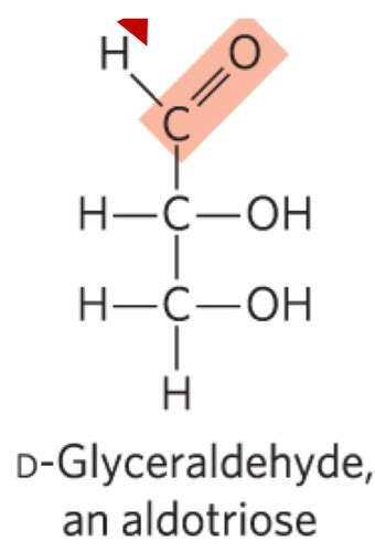 Chapter Carbohydrates Flashcards Quizlet