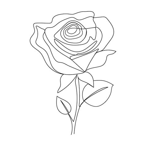 Una L Nea Continua Flor De Rosa Dibujada A Mano Ilustraci N Vectorial