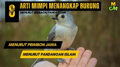 Arti Mimpi Menangkap Burung Menurut Primbon Dan Islam Youtube