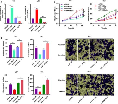 MiR 142 5p Exerted Tumor Suppressive Effect In Gliomas A MiR NC