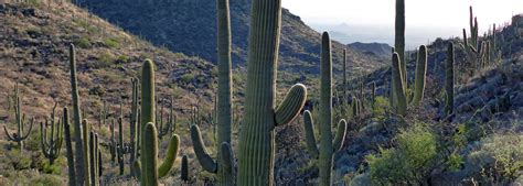 Tortolita Mountains, Tucson, Arizona