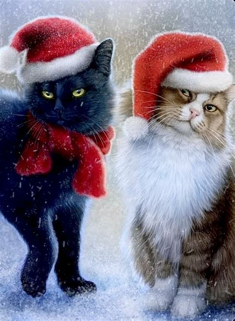 Two Cats Wearing Hats And Scarves In The Snow