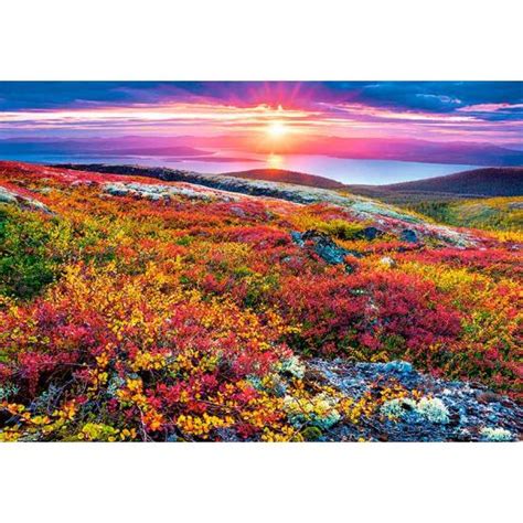 Comprar Puzzle Castorland Paleta De Flores Del Norte De Piezas