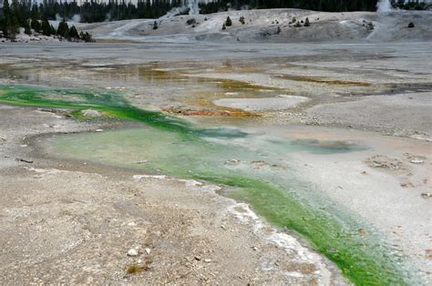 Pinwheel Geyser Afternoon 9 August 2014 1 James St John Flickr