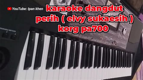 Karaoke Dangdut Perih Elvy Sukaesih Korgpa Asik Banget Youtube