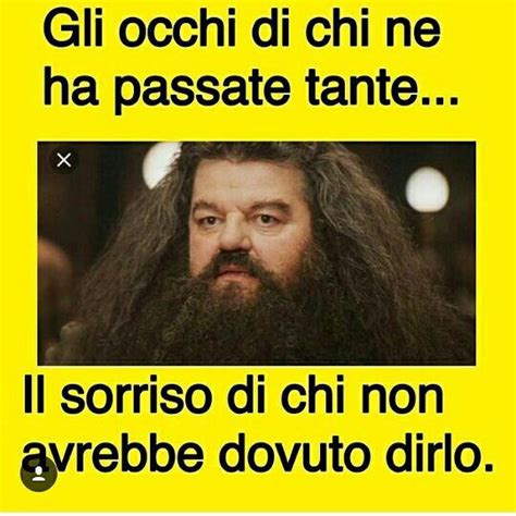 Immagini Divertenti Harry Potter Gli Occhi Harry Potter Umorismo