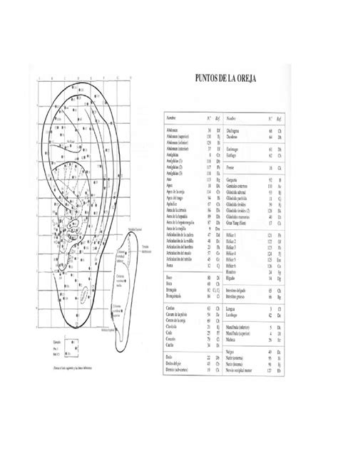 PDF Acupuntura Auriculoterápia Atlas DOKUMEN TIPS