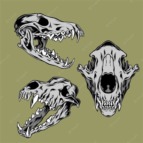 Premium Vector Wolf Skull Illustration Pack