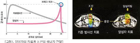 국립암센터 양성자 치료 국제 심포지엄 성료