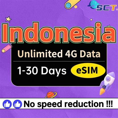 Sct Indonesia Esim Days Unlimited G Data Daily Mb Gb Gb