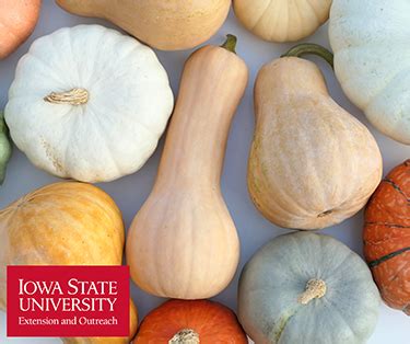 Wintersquash Spend Smart Eat Smart