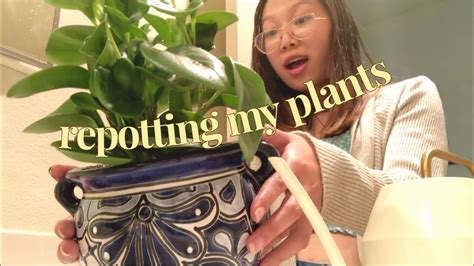 I Try Repotting My Houseplants For The First Time Learn How To Repot